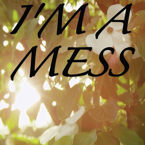 I&#039;m A Mess (Tribute to Bebe Rexha)_poster_image