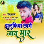 Jhulufiya Lage Jan Mar