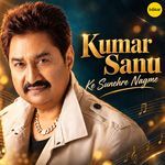 Mera Dil Bhi Kitna Pagal Hai artwork