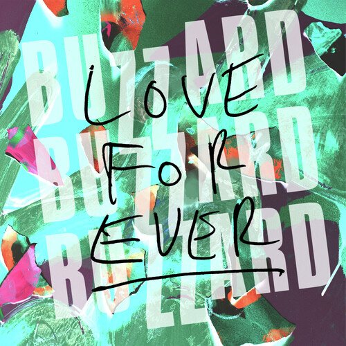 Love Forever Lyrics Buzzard Buzzard Buzzard Only on JioSaavn