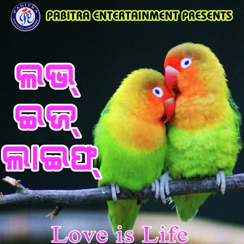 Love is Life_poster_image