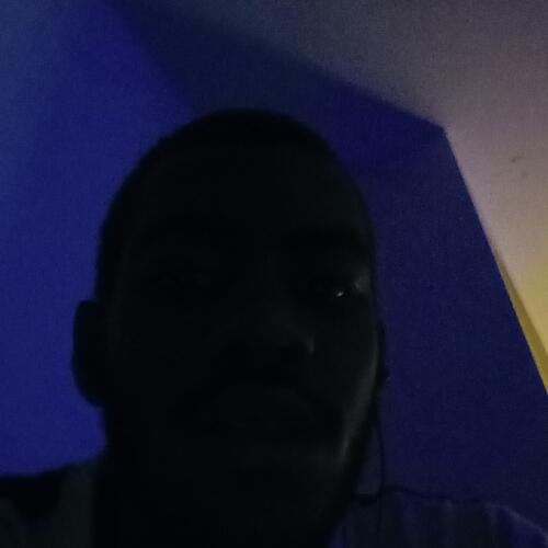Bunkin cover art