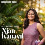 Njan Kanavil (From "Beat Route A Musical Journey")