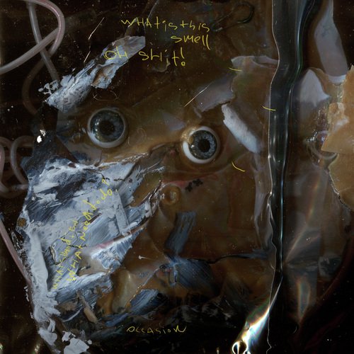 Kazus Perevodchika cover art