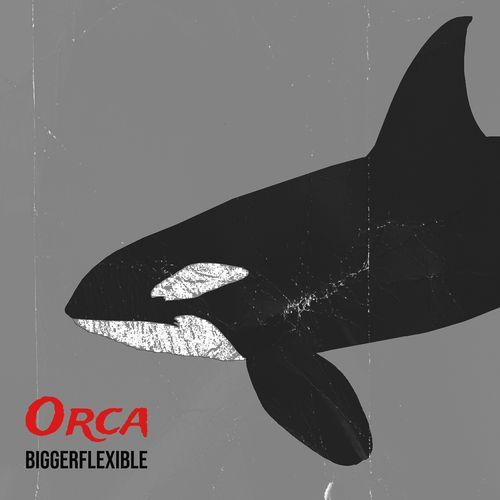 Orca cover art