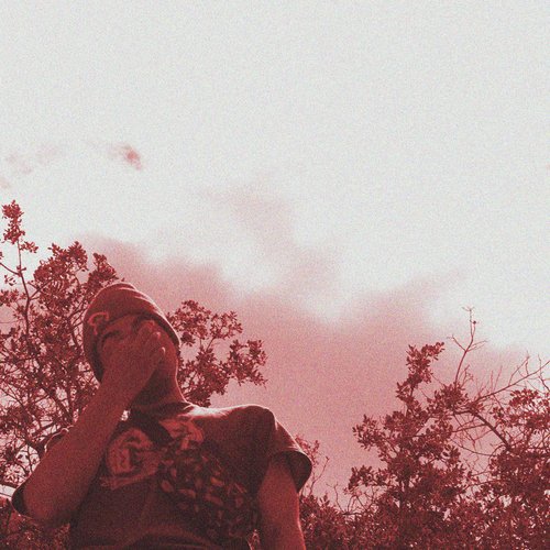 Paulinho cover art