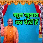 Phool Gulaab Ka Dekhen Hai