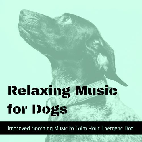 Sleep Soundscapes (Stress Management) cover art