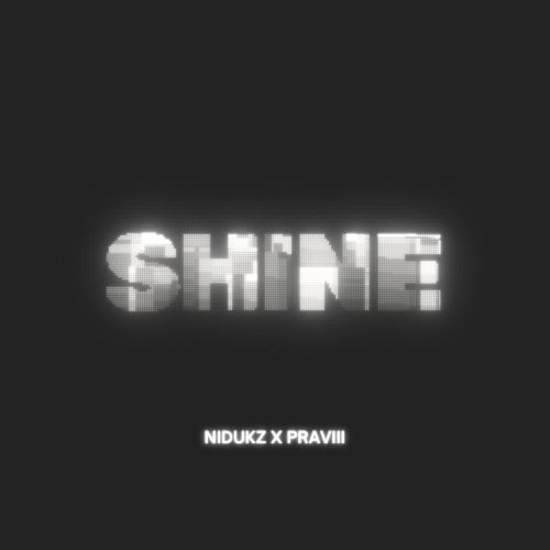 Shine (feat. Pravii) (Lofi Edit)
