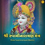 Shree Swaminarayan Mantra