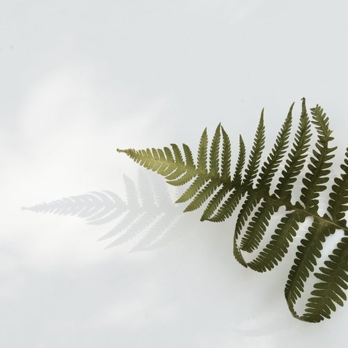 Sleepy Songs | Yoga and Mystical Spa