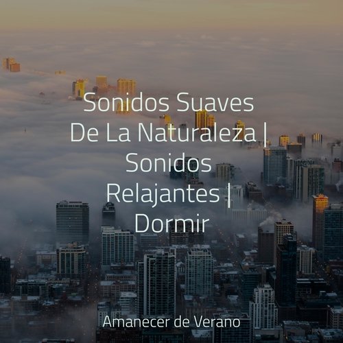 Sonidos Suaves De La Naturaleza | Sonidos Relajantes | Dormir