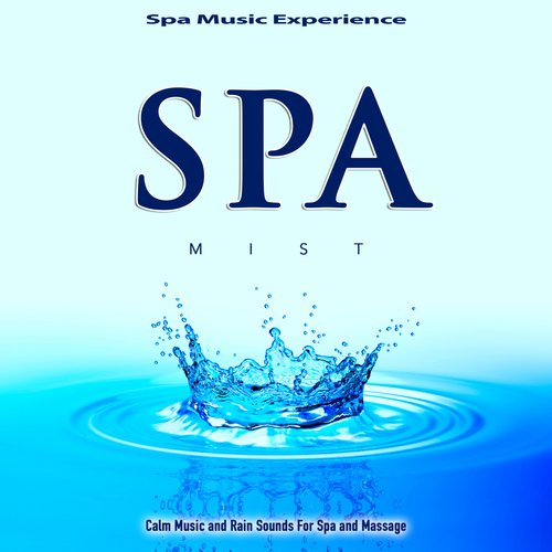 The Guru cover art