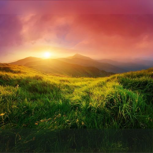 Sunrise Serenade