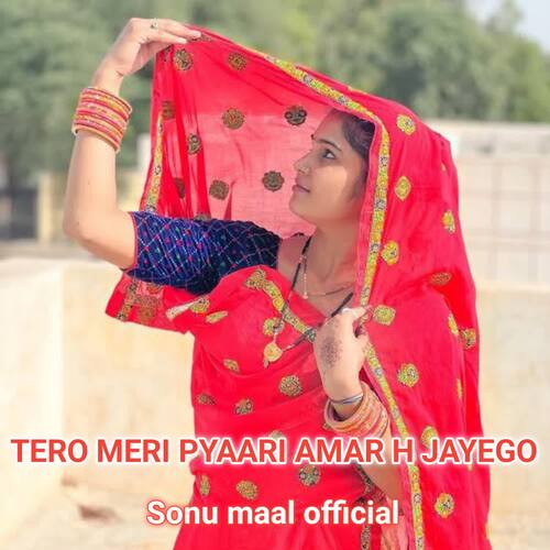 TERO MERI PYAARI AMAR H JAYEGO