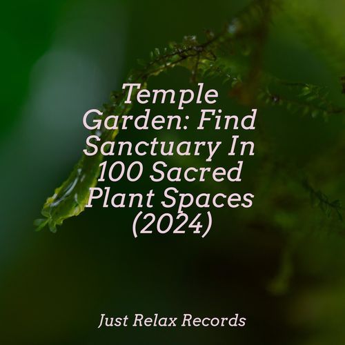 Temple Garden: Find Sanctuary In 100 Sacred Plant Spaces (2024)