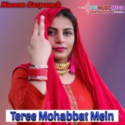 Teree Mohabbat Mein-MiEgZR5UUlc