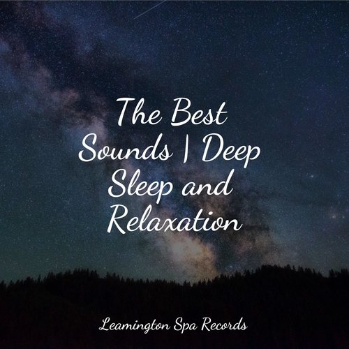 Sleep Music cover art