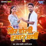 Tor Doli Hamar Arthi