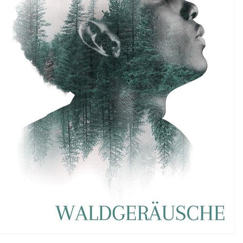 Waldgeräusche: Entspannungsmusik zum Schlafen, Naturgeräusche, Vogelgeräusche, Flussgeräusche