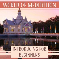 World of Meditation: Introducing for Beginners, Guided Spiritual Journey, Trouble Sleeping, Inner Peace, Serenity Massage, Soothing Music