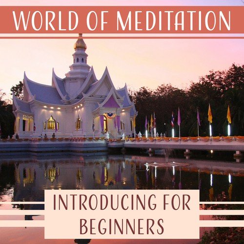 World of Meditation: Introducing for Beginners, Guided Spiritual Journey, Trouble Sleeping, Inner Peace, Serenity Massage, Soothing Music_poster_image