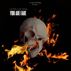 You Are Fake-FD8gU0dGcwo