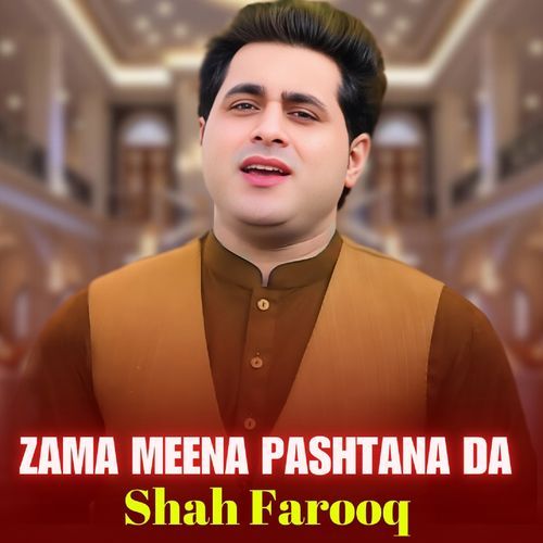 ZAMA MEENA PASHTANA DA