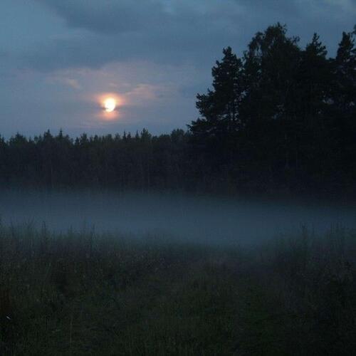 awaken