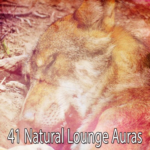 41 Natural Lounge Auras