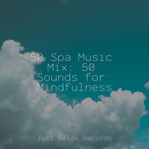 50 Spa Music Mix: 50 Sounds for Mindfulness