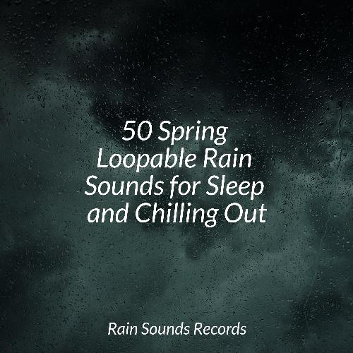 50 Spring Loopable Rain Sounds for Sleep and Chilling Out