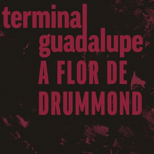 A Flor de Drummond_poster_image