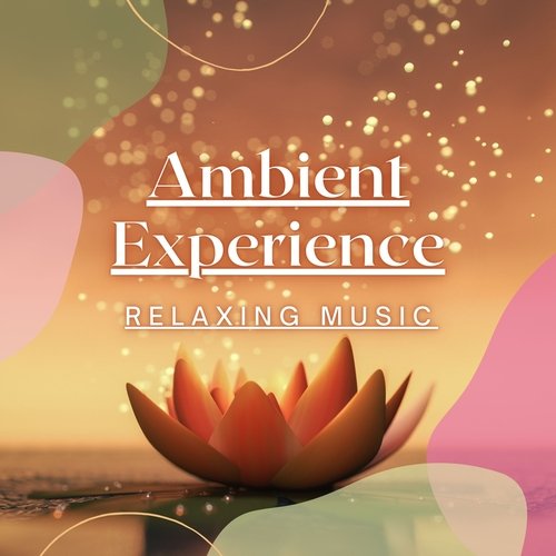 Ambient Experience