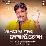 Ame Ta Pura Bekar Toka