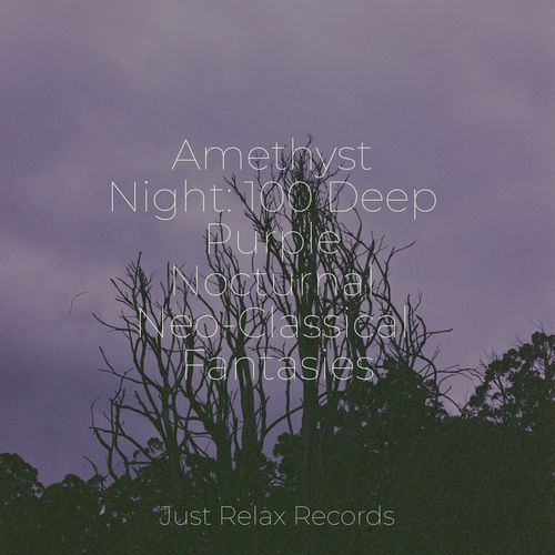 Amethyst Night: 100 Deep Purple Nocturnal Neo-Classical Fantasies