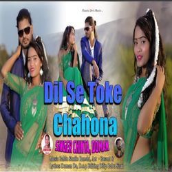 Dil Se Toka Chahona-JhkjVhdRXmA