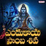 Endukaya Samba Siva