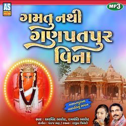 Gamtu Nathi Ganpatpur Vina