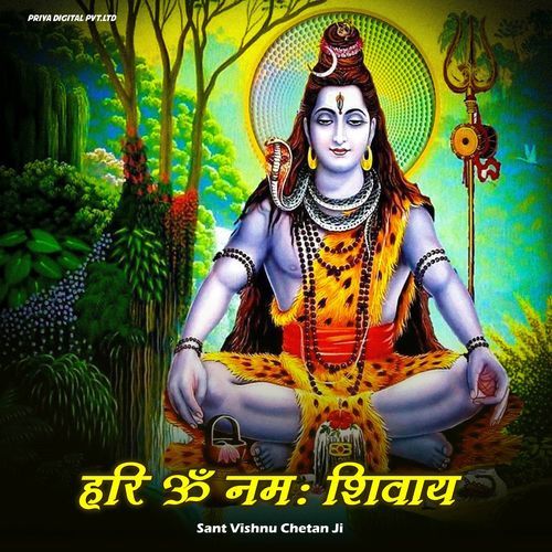 Hari Om Namah Shivay