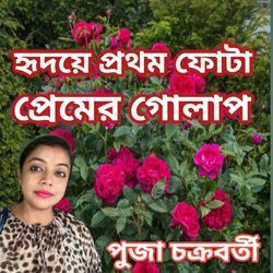 Hridoye Prothom Fota Premer Golap-QSE0dhh0RXg