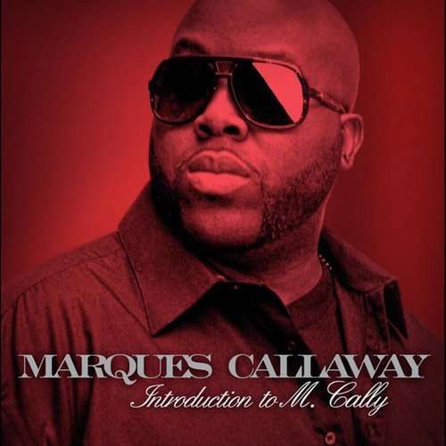 Introduction to M.Cally