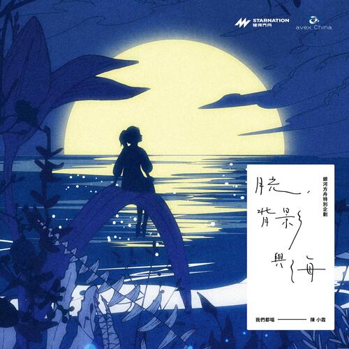 Moonlight,Silhouette and Sea_poster_image