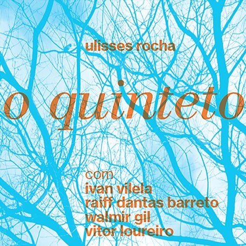 Viola Enluarada (feat. Ivan Vilela, Vitor Loureiro, Walmir Gil & Raiff Dantas Barreto) cover art
