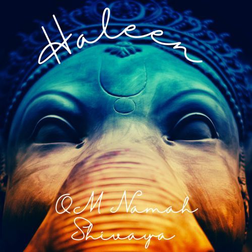 OM Namah Shivaya