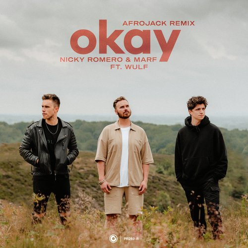 Okay (Afrojack Remix)