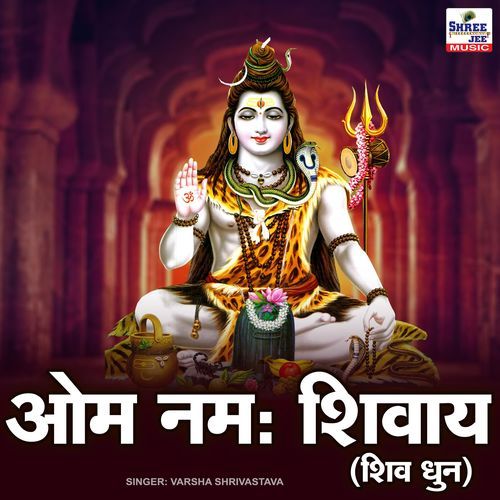 Om Namah Shivay