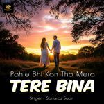 Pehle Bhi Koun Tha Mera Tere Bina