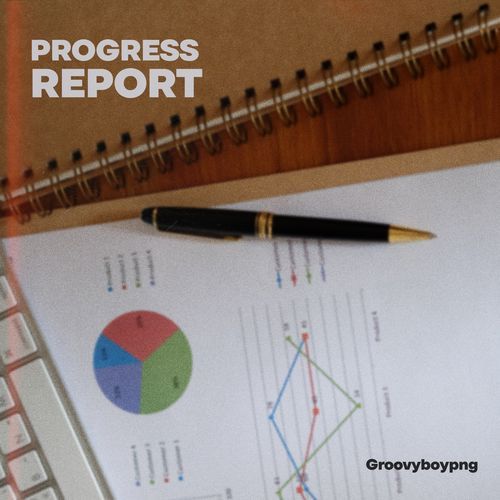 Progress Report