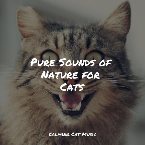 Pure Sounds of Nature for Cats